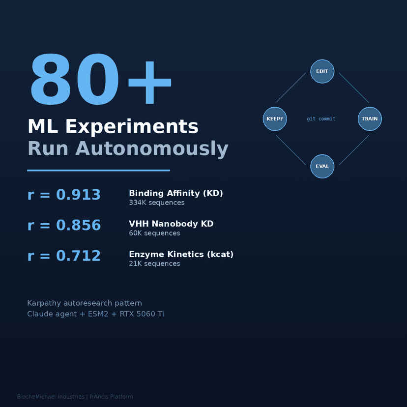 80+ ML experiments run autonomously