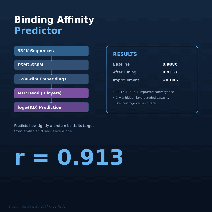 Binding affinity predictor — r = 0.913